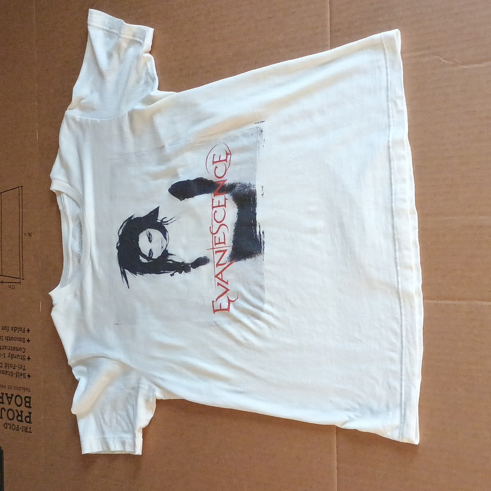 Evanescence Amy Lee Portrait Graphic Boyfriend Fit Girls Tee Shirt M.